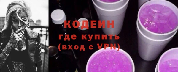 бошки Бородино