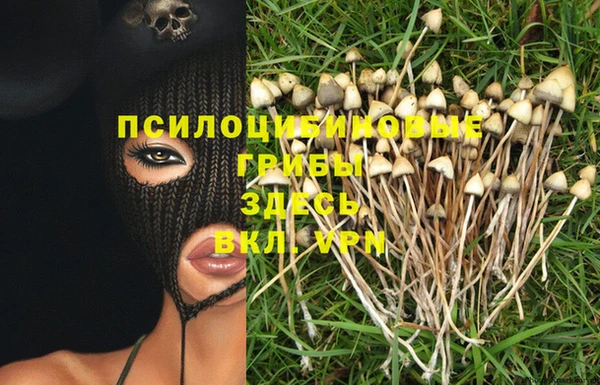 ПСИЛОЦИБИНОВЫЕ ГРИБЫ Бронницы