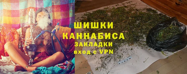 бошки Бородино
