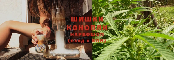бошки Бородино