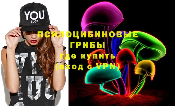 ПСИЛОЦИБИНОВЫЕ ГРИБЫ Бронницы