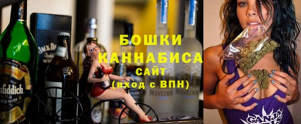бошки Бородино
