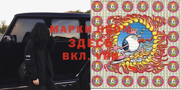 бошки Бородино
