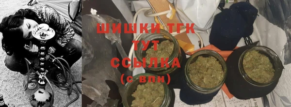 бошки Бородино